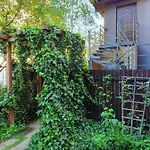 Bagry * Kraków